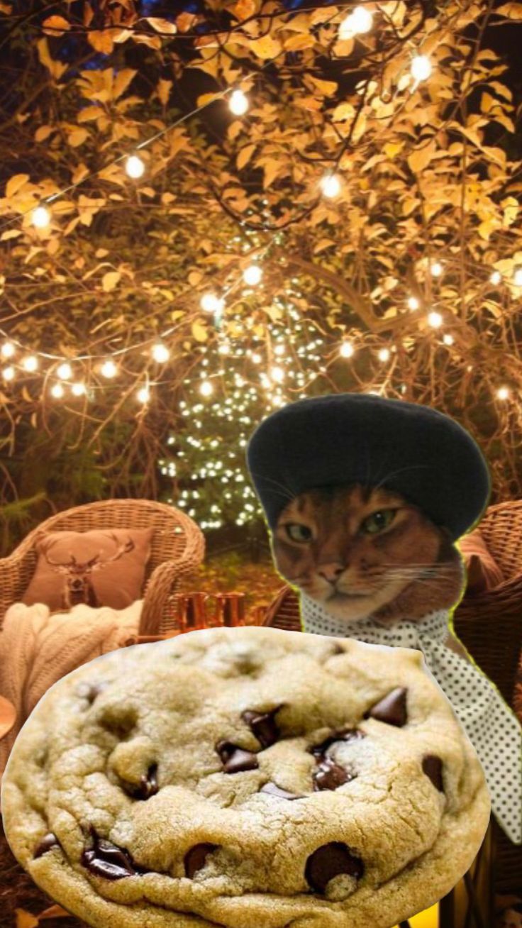 Cat Cookie